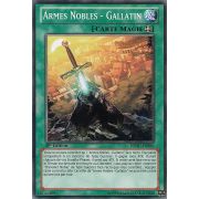 REDU-FR086 Armes Nobles - Gallatin Commune