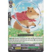 BT07/057EN Hula Hoop Capybara Common (C)