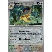 EV08_155/191 Iguolta Inverse