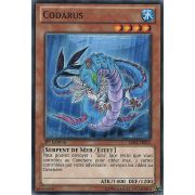 SDRE-FR012 Codarus Commune