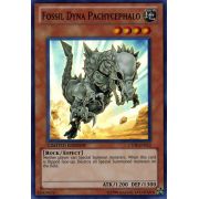 CT08-EN012 Fossil Dyna Pachycephalo Super Rare