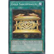 LCYW-EN080 Gold Sarcophagus Commune