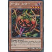 LCYW-EN239 Mystic Tomato Secret Rare