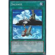 LCYW-EN276 Salvage Super Rare