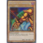 LCYW-EN304 Right Arm of the Forbidden One Secret Rare