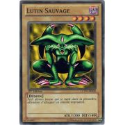 LCYW-FR008 Lutin Sauvage Commune