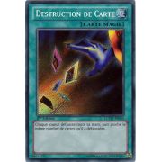 LCYW-FR060 Destruction de Carte Secret Rare