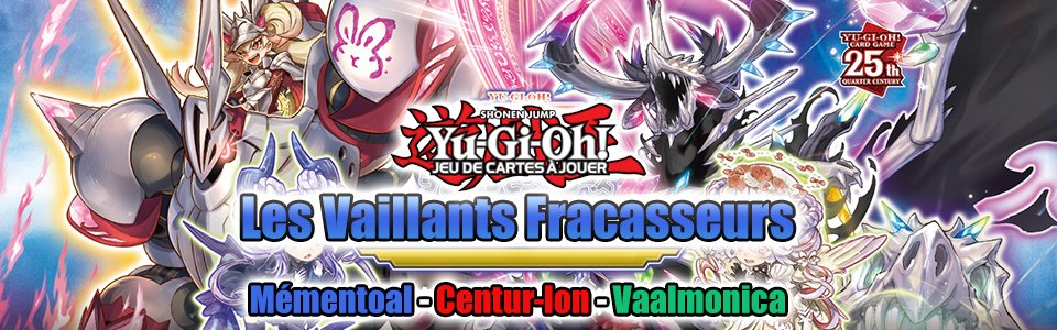 Les Vaillants Fracasseurs (VASM)